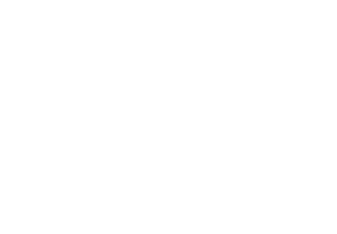 SEMSEA Logo Hell